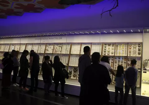 GALERIE FOTO/ Noaptea muzeelor 2018 în Capitală. Aglomeraţie la Antipa şi Muzeul de Geologie