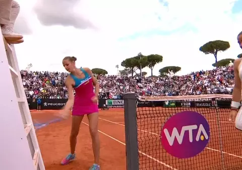 Arbitru exclus de la Roland Garros și Wimbledon. A plătit pentru scandalul cu Pliskova