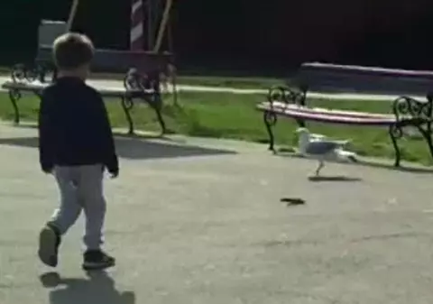 VIDEO/ Un șarpe apărut din iarbă a creat panică la un loc de joacă pentru copii din Constanța