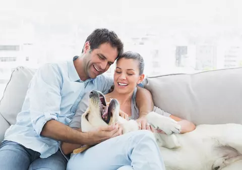 5 Sfaturi utile ca să ai un animal de companie sănătos și fericit