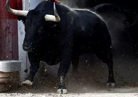 EXCLUSIV / Un taur l-a ucis pe săteanul care l-a  deranjat de la păscut. Poliția a căutat inițial criminalul printre vecinii bărbatului omorât în propria curte