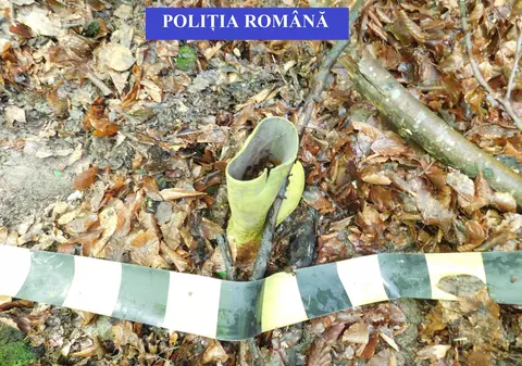 Un bărbat din Bistrița a fost ucis, tranșat și aruncat într-un pârâu. Suspecții de crimă, prinși după aproape un an