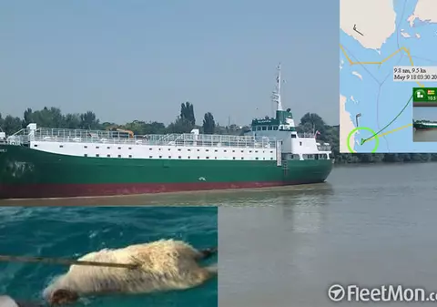 Oi din România pe plajele din Egipt, după ce au fost aruncate peste bord în Marea Roșie