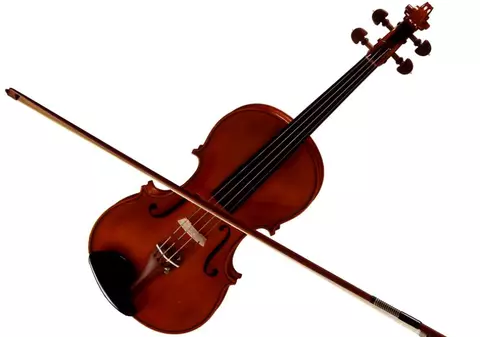 Viorile au fost inventate din dorinţa de a imita vocea umană (studiu)