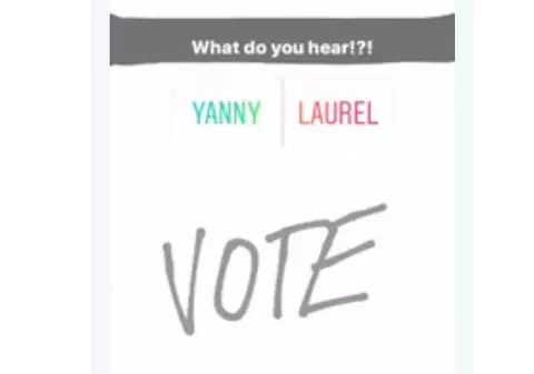 VIDEO | Întrebarea ”Yanny sau Laurel?” împarte internetul în două. Ce explicație oferă specialiștii