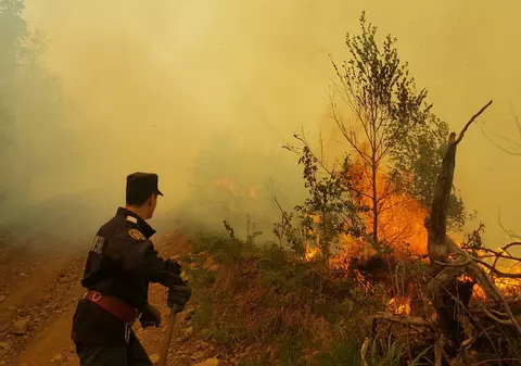 Ce legătură există între încălzirea globală și incendiile de vegetație care sunt tot mai numeroase