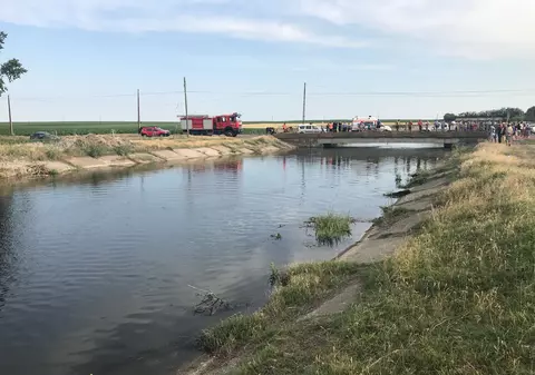 Un bărbat a căzut cu căruța plină cu iarbă într-un canal din județul Brăila. Atelajul și animalul au fost scoase, însă căruțașul nu a fost încă găsit