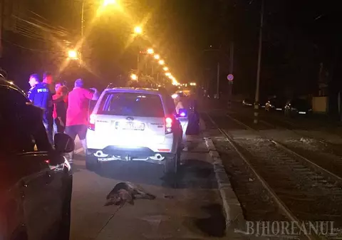 Câine legat de mașină și târât prin trafic în Oradea. Scena revoltătoare a fost filmată / VIDEO