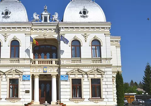 Primăria Câmpina a angajat detectivi particulari ca să-i prindă pe cei care abandonează câini sau distrug bunuri publice