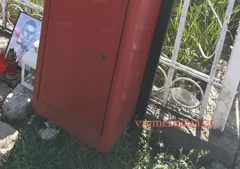Un vasluian a fost înțepat de viespi după ce a pus o scrisoare în cutia poștală. E uluitor ce s-a întâmplat după
