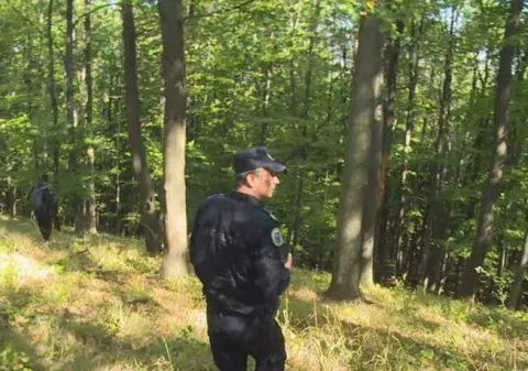 Un bărbat din Vaslui a murit după ce i-a căzut un copac în cap. Omul aduna lemne în pădure