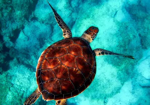 (P) 3 experiențe pe care să nu le ratezi în concediul din Kefalonia