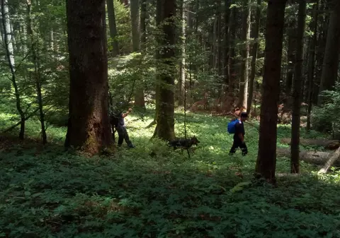 Turistul american dispărut în Bucegi în timpul unui zbor cu parapanta a fost localizat. Nu se știe dacă mai este în viață/ FOTO&VIDEO