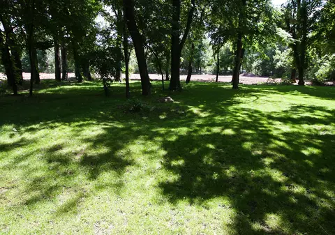 Gabriela Firea promite că primăria va cumpăra parcurile Verdi și Nicolae Iorga de la actualii proprietari