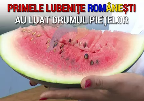 Primii pepeni românești au apărut pe piață, cu două săptămâni mai devreme