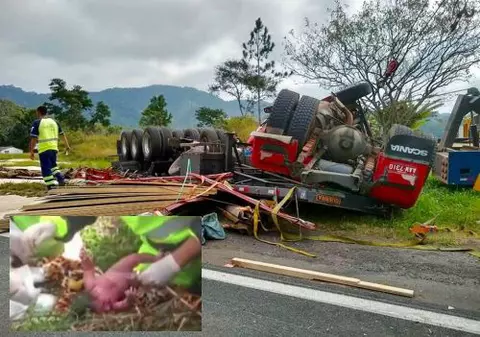 VIDEO | Un bebeluș a supraviețuit după ce a fost smuls din pântecul mamei sale în timpul unui accident îngrozitor