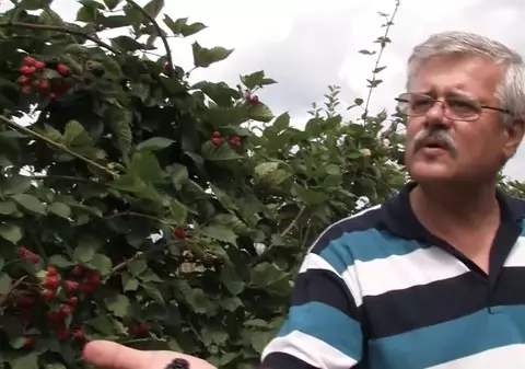 A dat lovitura cu fructele de pădure. Afacere de succes pentru un informatician din România