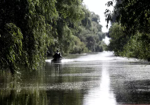 FOTOREPORTAJ/ Prin Delta Dunării, în căutarea sălbăticiei