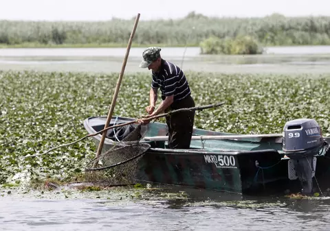 Locuitorii din Deltă ar putea primi până la 50.000 de euro pentru înființarea de ferme de subzistență