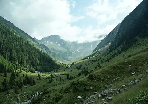 Un bărbat a murit după ce a căzut într-o râpă de zece metri, în apropiere de Mănăstirea Nechit