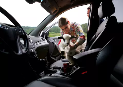 Exclusiv/ Anamaria Prodan Reghecampf a primit cadou un miel de la un “ Gospodar fără pereche”