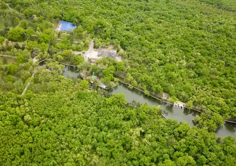 FOTO/ Cel mai mare parc din România va fi amenajat la Buzău. Pădurea Crâng trece în proprietatea publică a orașului