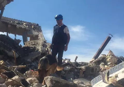 Eroul de la Amatrice, otrăvit. Moartea câinelui a stârnit revoltă în Italia