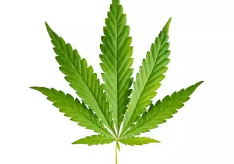 Consumul și posesia de marijuana au fost complet dezincriminate în Georgia