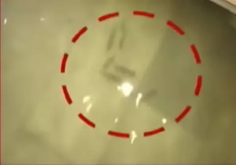 Imagini șocante surprinse în timpul musonului din India. Pești filmați în timp ce înotau pe holurile unui spital