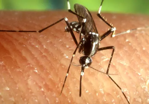 Încă o persoană a murit din cauza infectării cu virusul West Nile, în Suceava