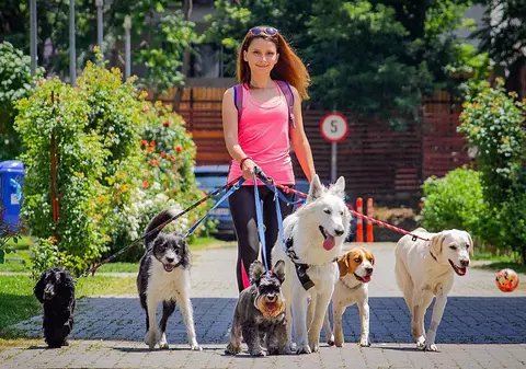 VIDEO/ „Tina Rintintin”: din contabilă, a ajuns bona pentru câini. ”Îi tratez ca și cum ar fi ai mei!”