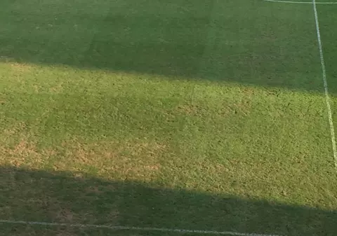 Ce se întâmplă cu gazonul de pe stadionul ”Ilie Oană”. Precizările administratorului: ”Mana a distrus iarba. Montăm rulouri pe 200 mp”. Pe 7 septembrie, la Ploiești se joacă România - Muntenegru, în Liga Națiunilor