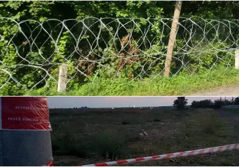 Bulgaria a finalizat gardul de la granița cu România. S-au ridicat 133 km de gard pentru a opri porcii să intre în țara vecină