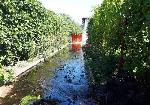 FOTO/ Curți inundate cu petrol în Moinești, județul Bacău. O conductă de transport a OMV Petrom s-a fisurat