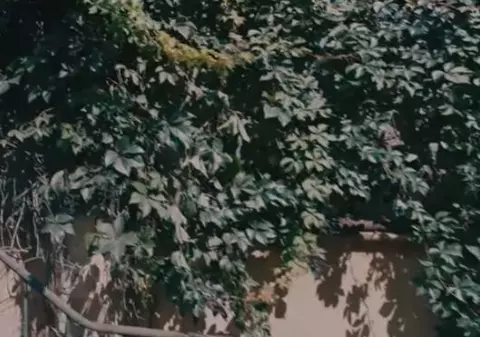 ”În țara-n care m-am născut”, cântecul cu mesaj lansat de Tudor Chirilă cu o zi înaintea protestului diasporei - VIDEO