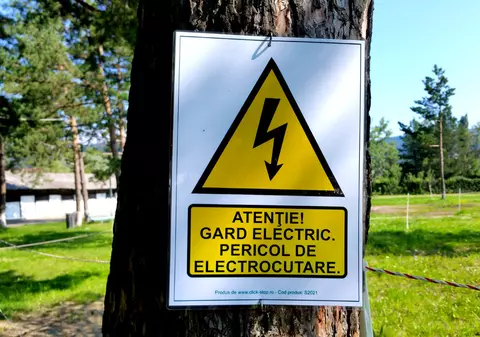 Garduri electrice pe A1, Sibiu - Orăștie, împotriva urșilor care pătrund pe carosabil