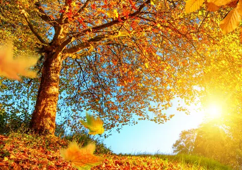 Horoscopul toamnei 2018. Află cum vei sta cu dragostea, banii, cariera și sănătatea