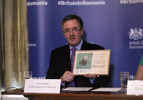 VIDEO/Andrew James Noble, noul ambasador britanic la București, a adoptat un urs din rezervația de la Zărnești. L-a botezat Hansel
