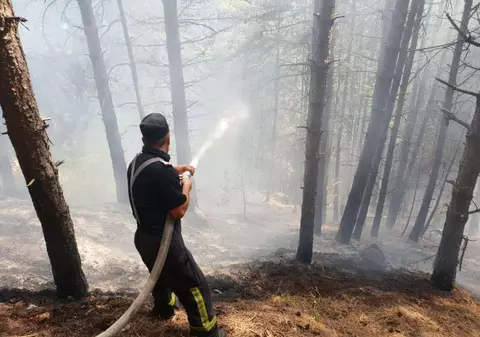VIDEO/ Incendiu de pădure pe dealul Mateiaş, în apropiere de Câmpulung Muscel