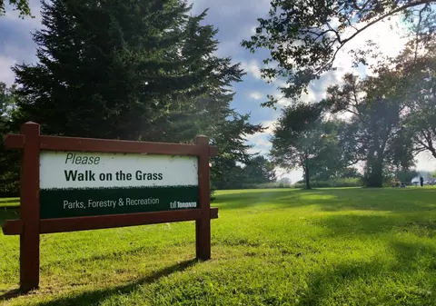 Scrisori pentru cei de-acasă / "Chiar să pui uscăturile să te conducă…"