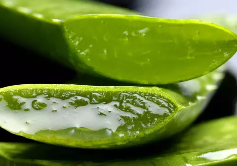 Gelul din aloe vera, un medicament natural pentru organism!
