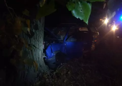 Accident cu mai mulți răniți lângă Arad. Trei copii și o gravidă au avut de suferit