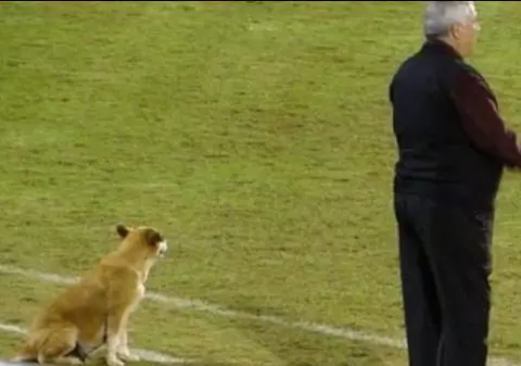 Un antrenor de la o echipă de fotbal din Paraguay are ca ”secund” un câine!