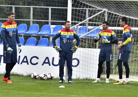 Precizări ale FRF în legătură cu terenurile și stadioanele incluse în proiectul Euro 2020: ”Bucureștiul figurează cu bazele de la Mogoșoaia, Berceni și Voluntari”