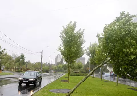 Cod galben de vânt puternic în București și șapte județe, luni seara