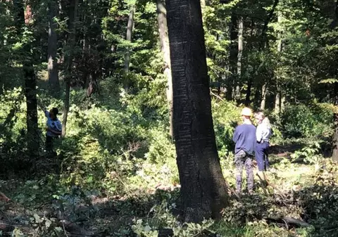 Un tânăr din Suceava a murit cu două săptămâni înainte să-și boteze copilul. A fost găsit fără viață sub un copac abia tăiat