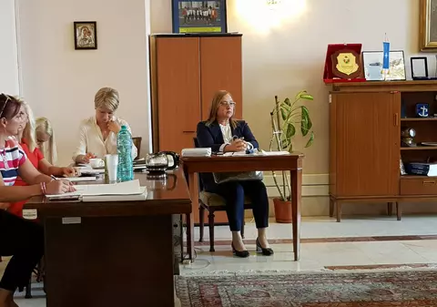 Speranța Cliseru, prezentă la Comisia de apărare din Senat, fără a fi audiată