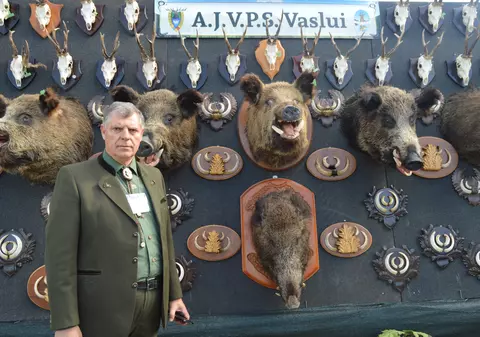 ANALIZĂ/ Pesta porcină „bate la ușă” în județul Vaslui, autoritățile și vânătorii se ceartă pe autorizații. Efectul, niciun mistreț nu a fost împușcat pe frontiera cu Republica Moldova