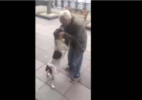 VIDEO | Momentul emoționant în care un bărbat și-a reîntâlnit câinele la 3 ani după ce l-a pierdut