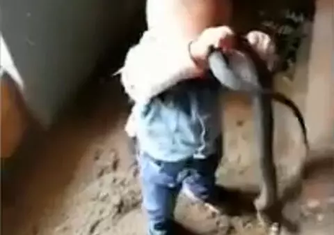 VIDEO | Momentul înfiorător în care un copil de nici 2 ani se joacă cu un șarpe uriaș în fața părinților lui